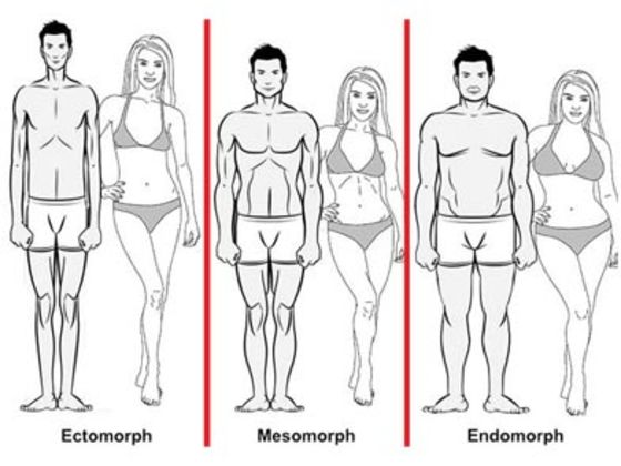 Train for your body shape: The Endomorph